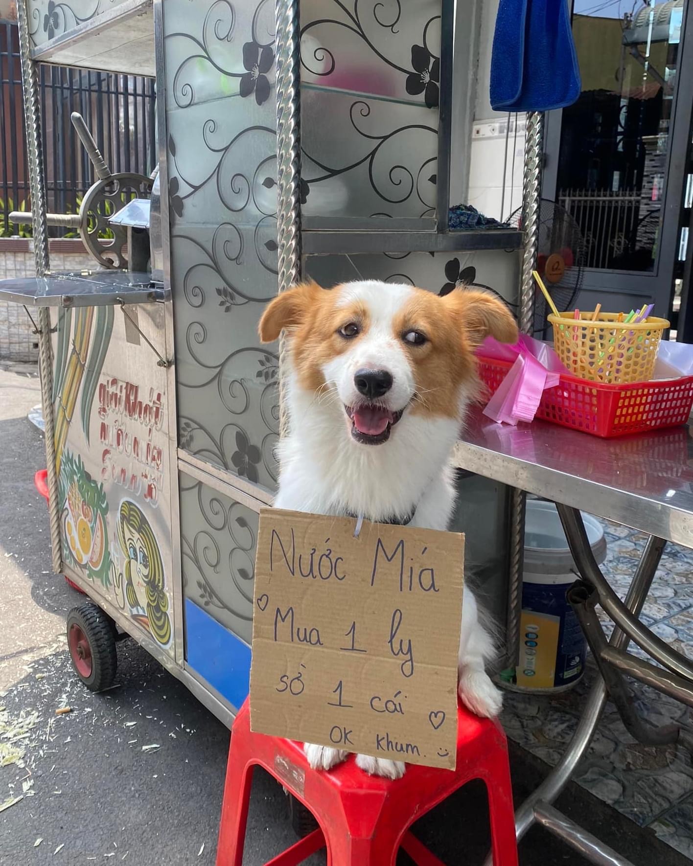 2023_09_25_14_50_IMG_7284